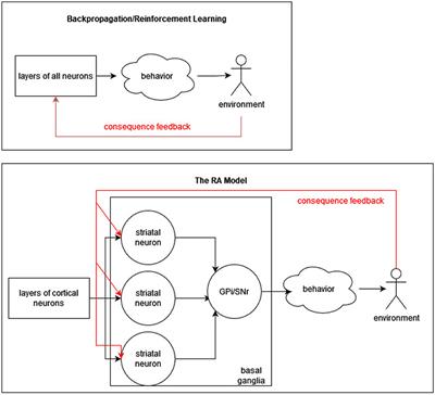 Leveraging conscious and nonconscious learning for efficient AI